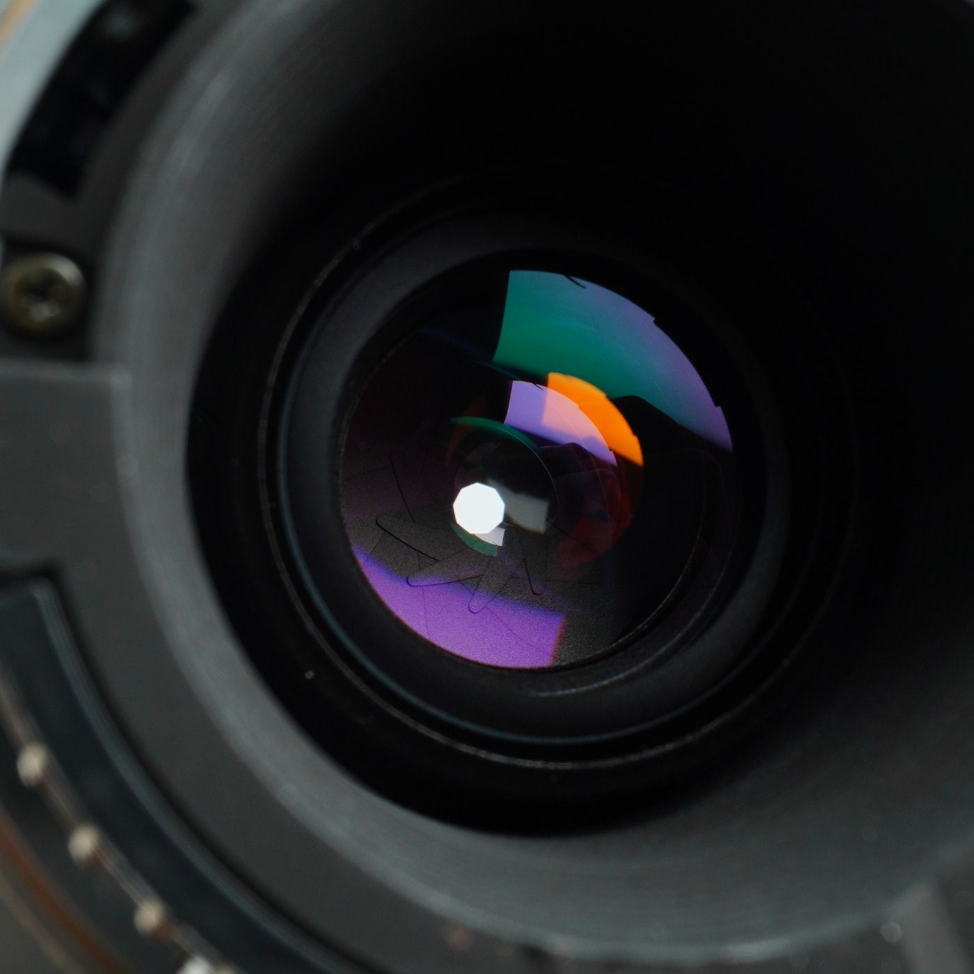 Nikon ニコン AF NIKKOR 70-300mm F/4-5.6 D ED ズームレンズ 【公式通販】