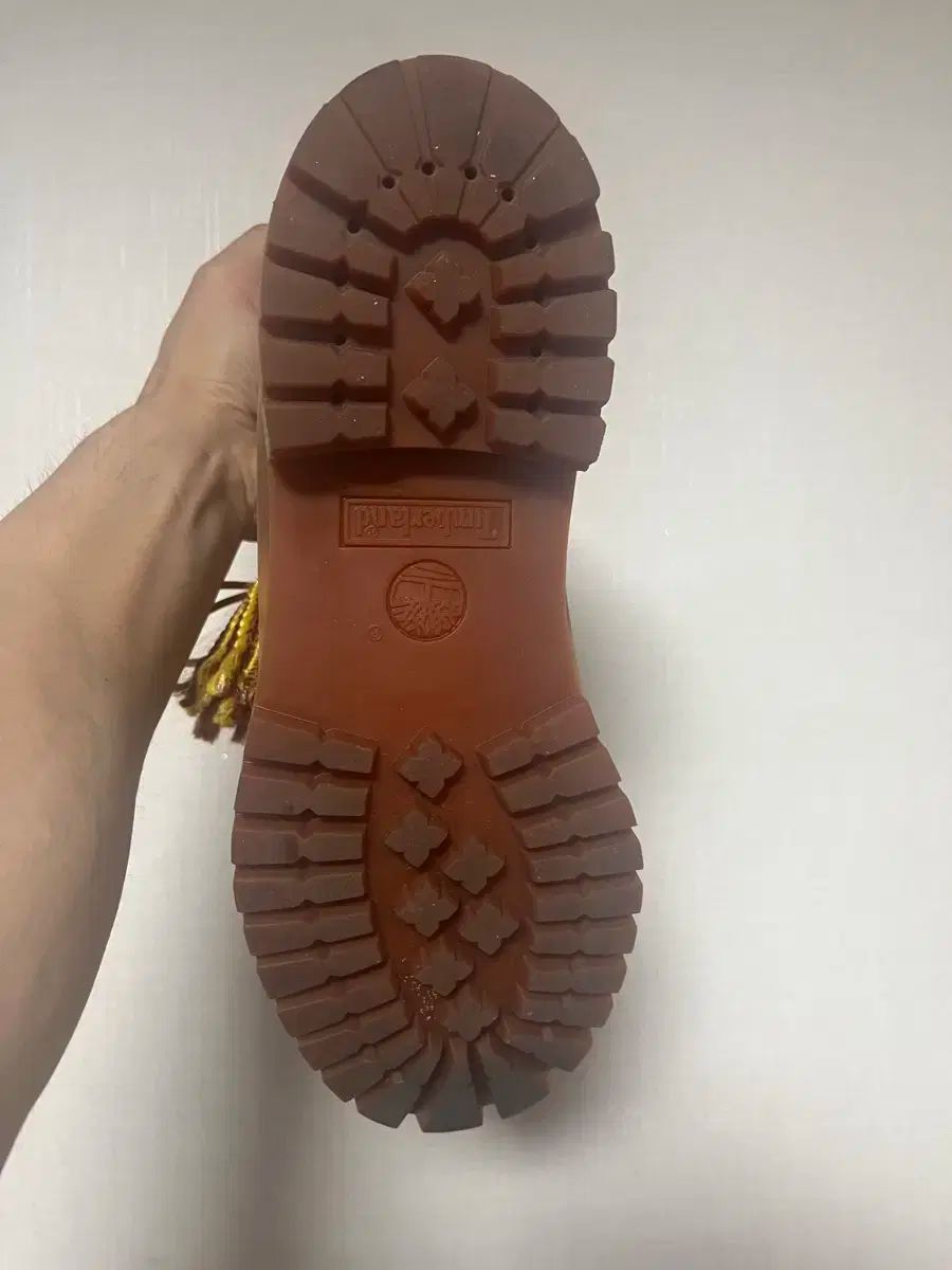 ティンバーランド 手術