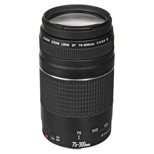 Canon純正 75-300mm 望遠レンズ 美品 a5037 Canon純正 75-300mm 望遠レンズ 美品 a5037 Canon純正 75-300mm 望遠