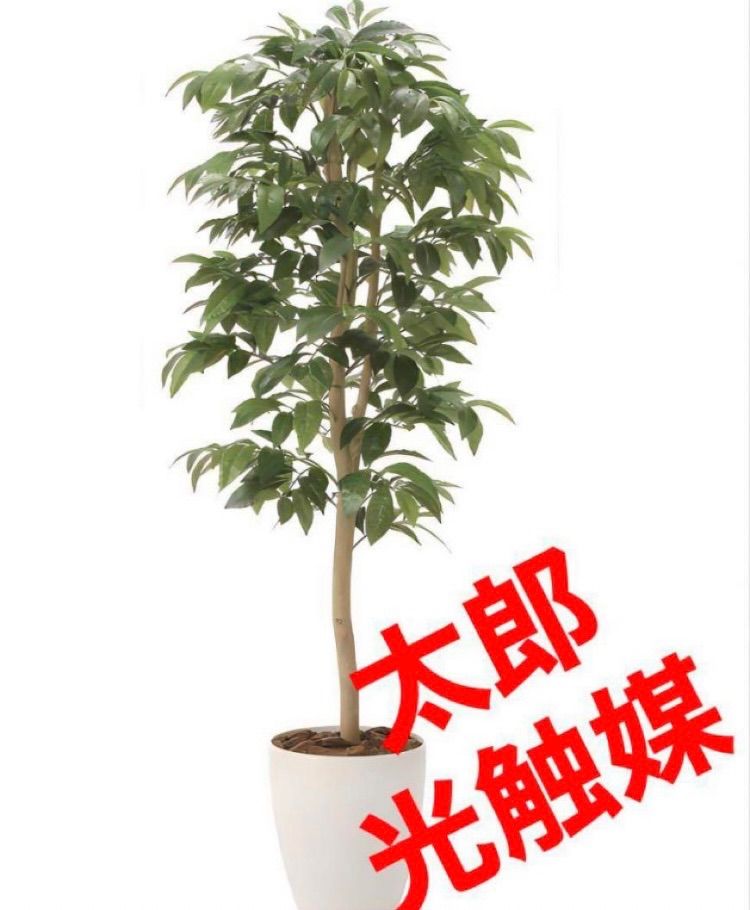 光触媒　人工観葉植物　ウォールグリーン　フェイクグリーン アルデシア130 光触媒 人工観葉植物 ウォールグリーン フェイクグリーン アルデシア