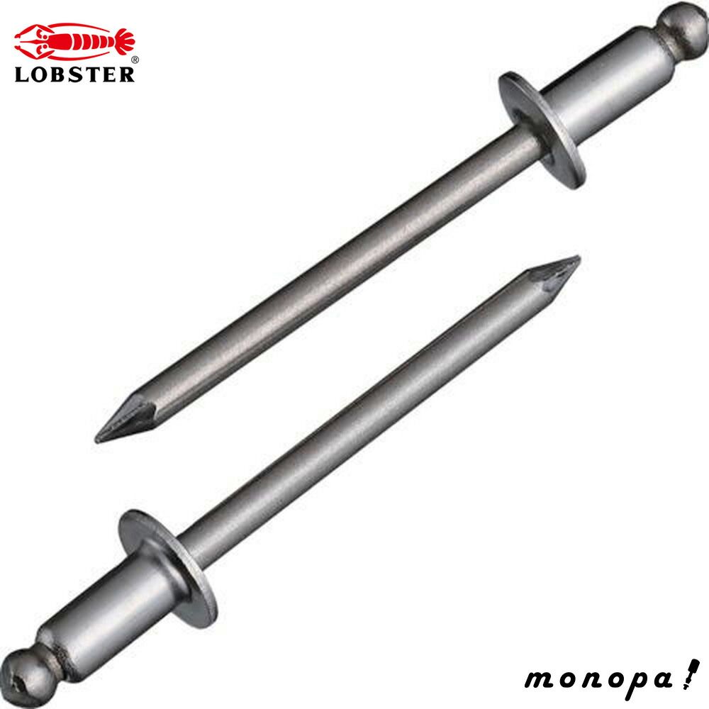 ロブテックス エビ ブラインドリベットエコBOX 300本入 NST53EB その他