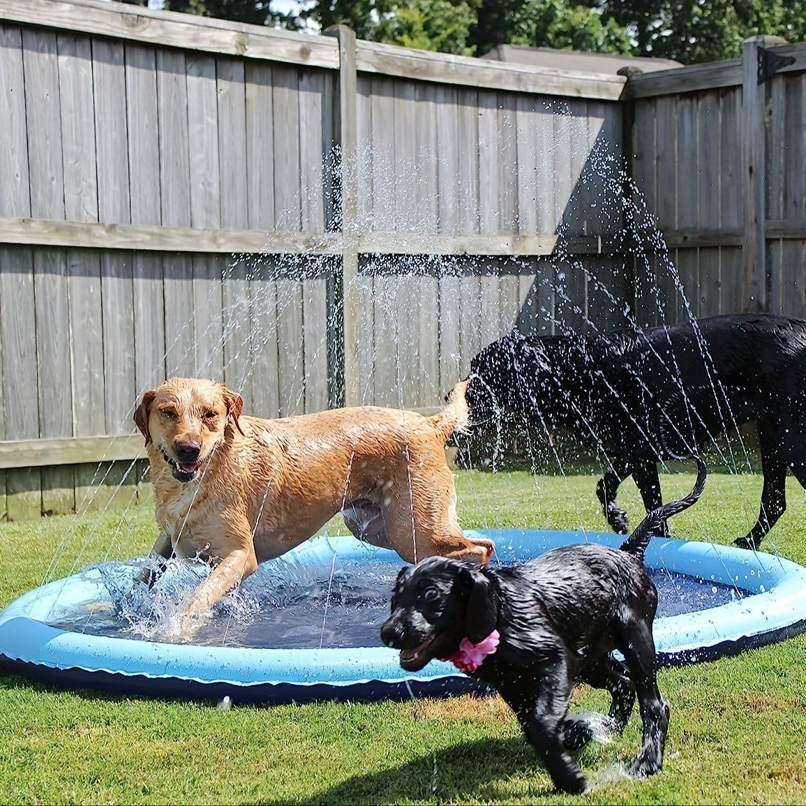 屋外用ポータブルドッグプール - 頑丈な青いペットバスタブ スプレッカーシステム付き 耐久性のあるプラスチック製で簡単お手入れ 夏のバケツ水遊び＆涼しさに最適