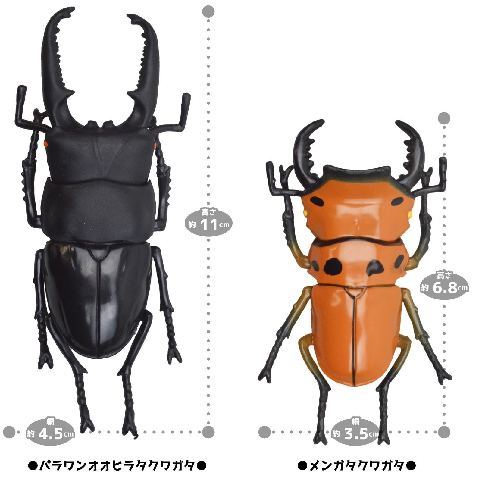 クワガタのフィギュアです大きさは、5cm位です 楽天市場】【5】 エフトイズ 世界昆虫大百科 第1弾 日本の