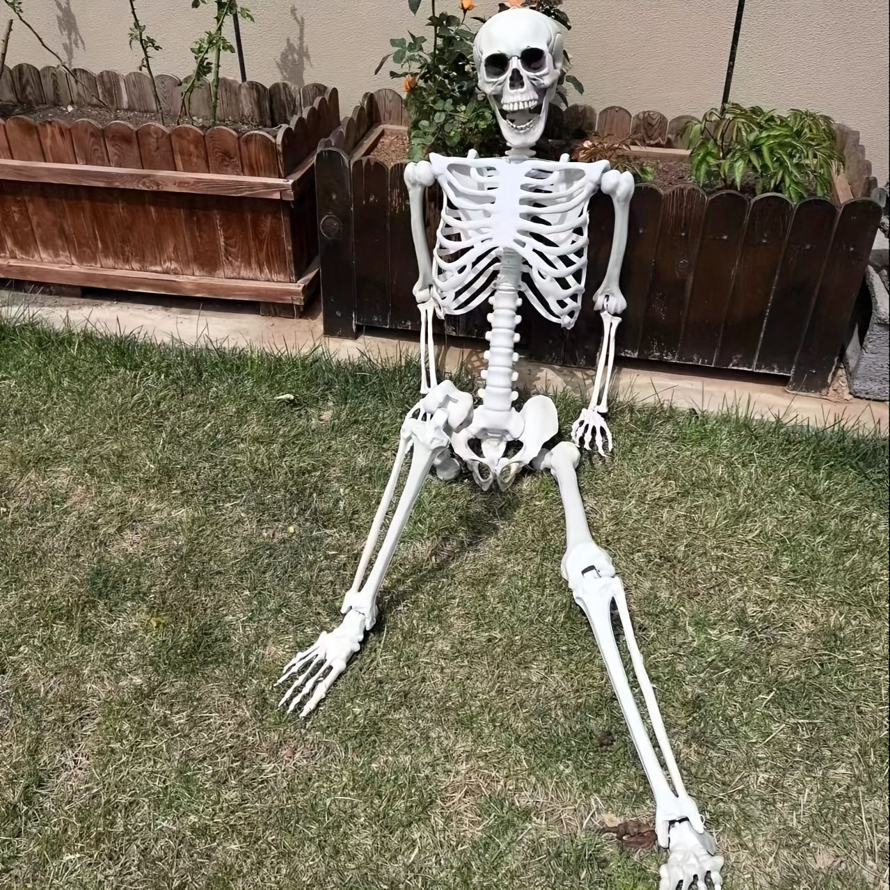 ガイコツの置物 ドクロ 骨 模型 骨格 置物 オブジェ 骸骨 人形
