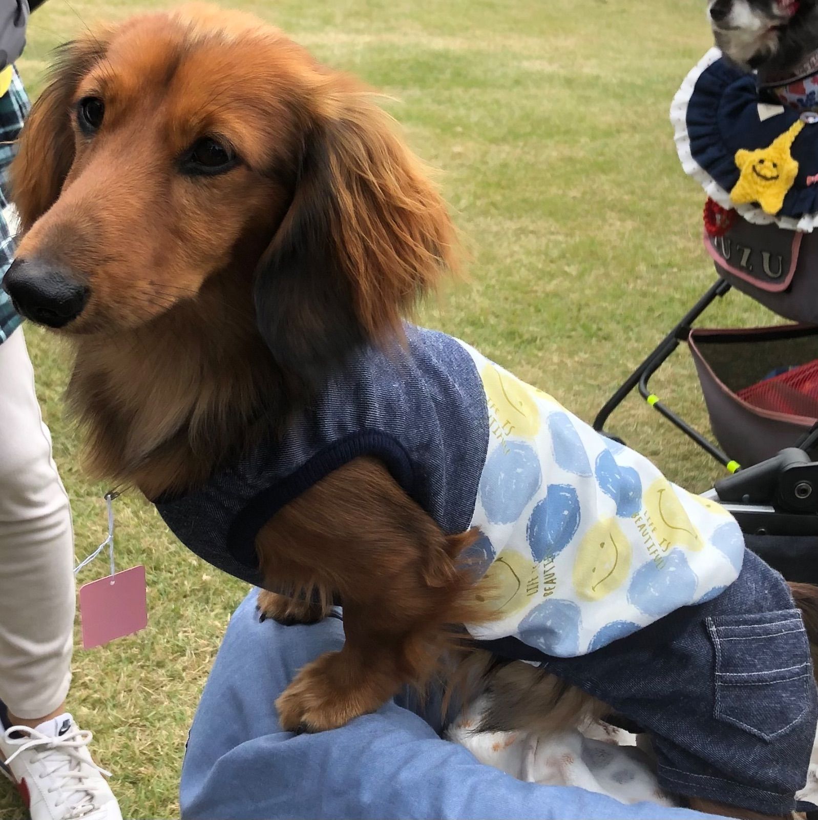 スマイルタンク・ハンドメイド犬服 犬の洋服 オーダーメイド