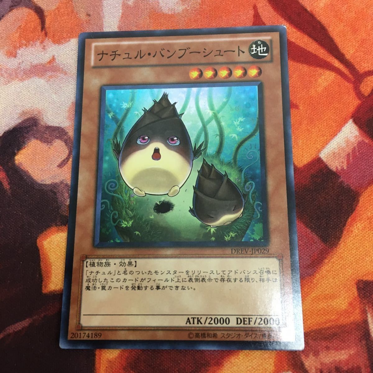 YK221009-115 ナチュル・バンブーシュート スーパーレア DREV-JP029