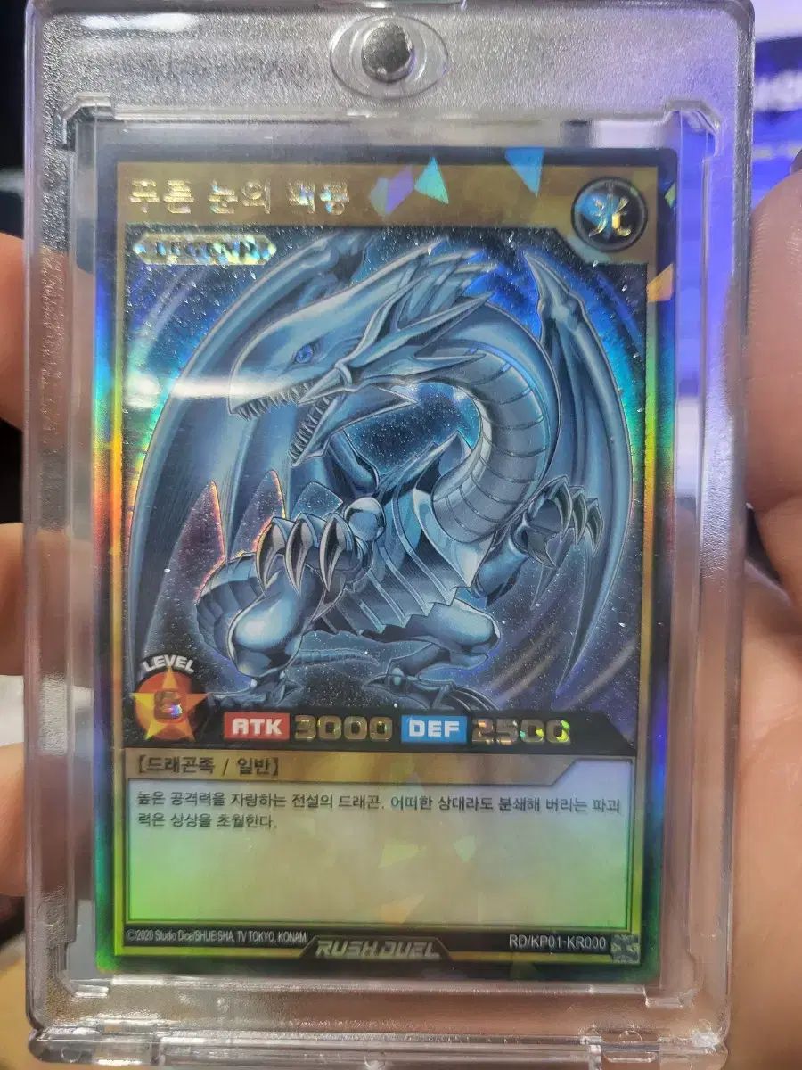【雷市場（ポンジャン）商品韓国直送】 遊戯王 ラッシュデュエル ブルー・アイド ペクリョン ロシア航空