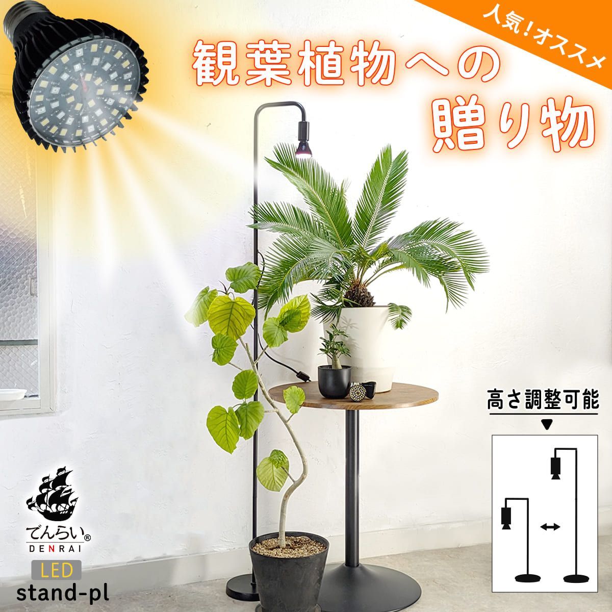 植物育成 スタンドライト 付き 【Stand-PL】 - メルカリ