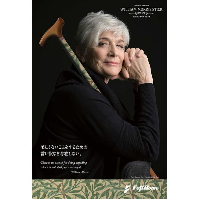  フジホーム ウィリアム モリス 折畳 ステッキ デイジー 杖 10段階調節 歩行サポート プレゼント 化粧箱入り WB 5110 敬老の日 その他 介護食品