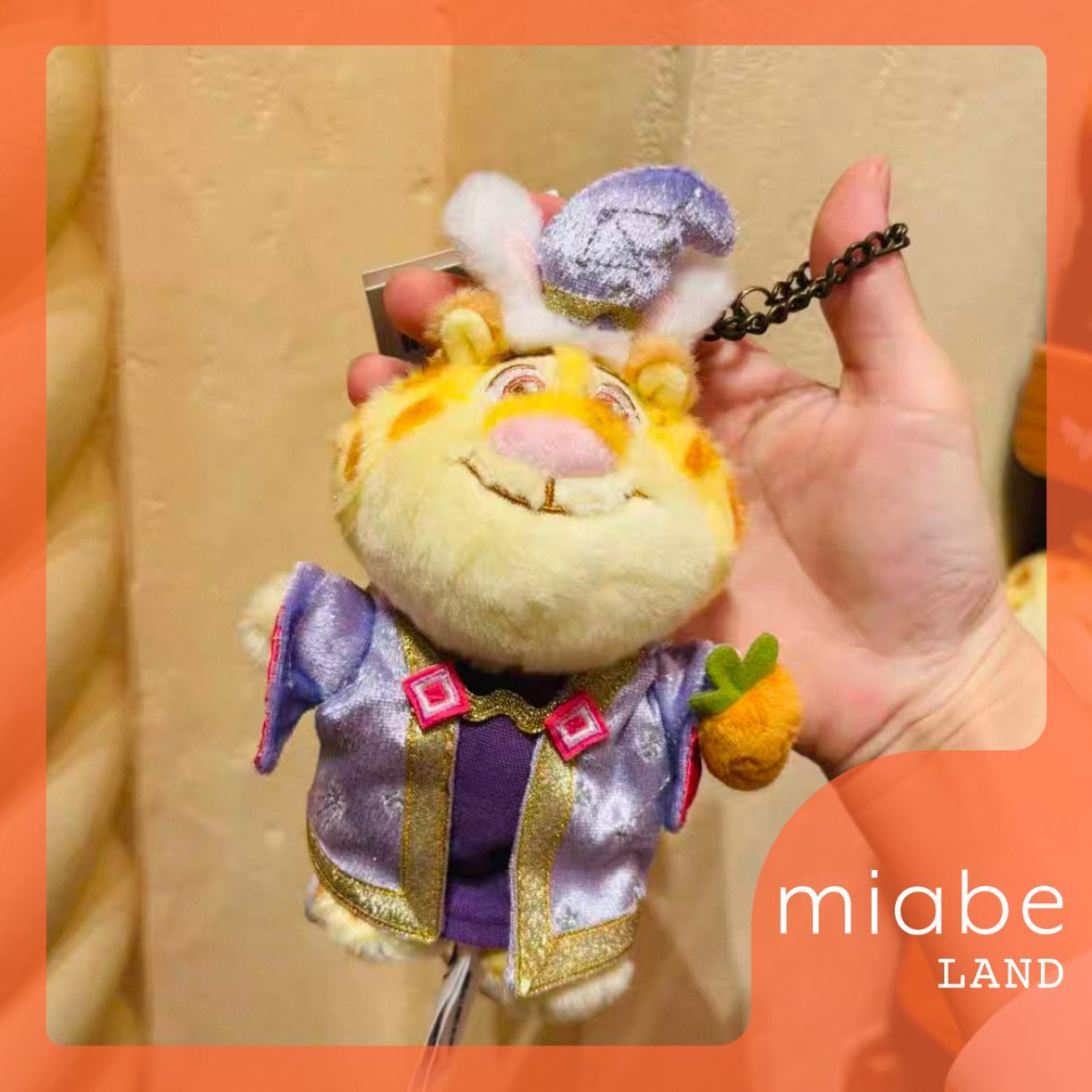 Group B｜10~15営業日国内倉庫発送｜miabe LAND｜限定｜上海