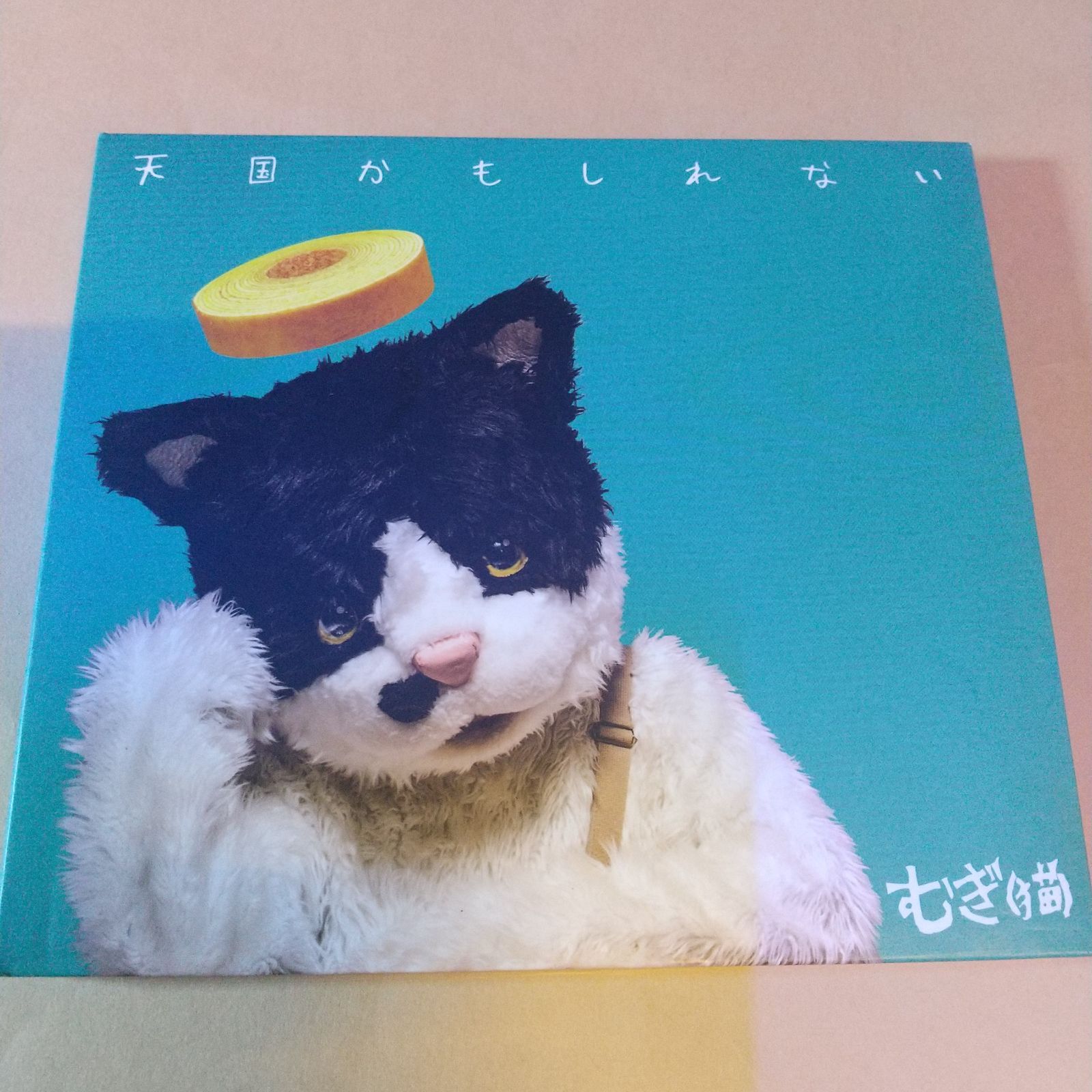 むぎ(猫) 天国かもしれない - メルカリ