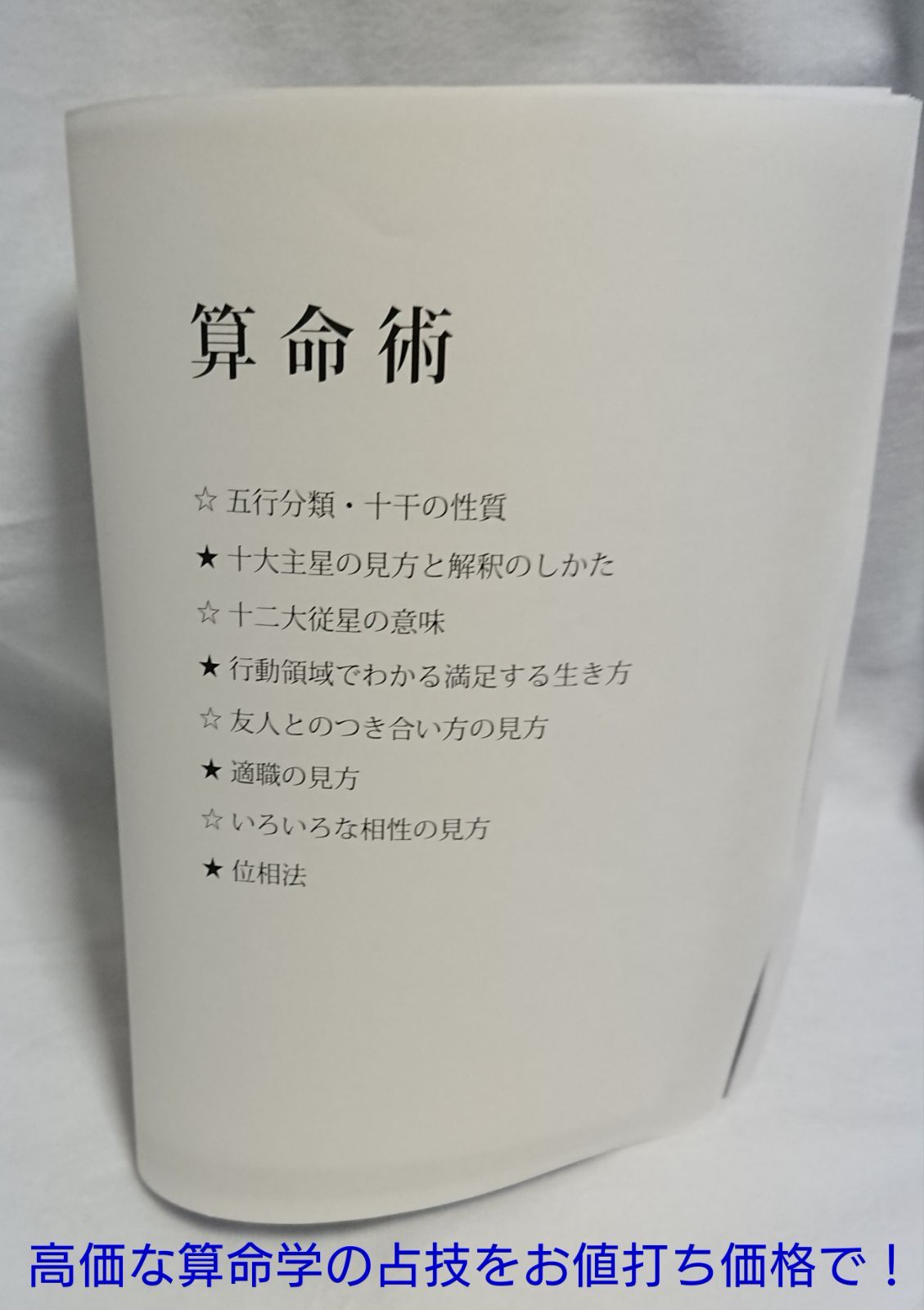 同梱不可】 江湖算命術 中文書籍 占い 推命術 2203020y その他