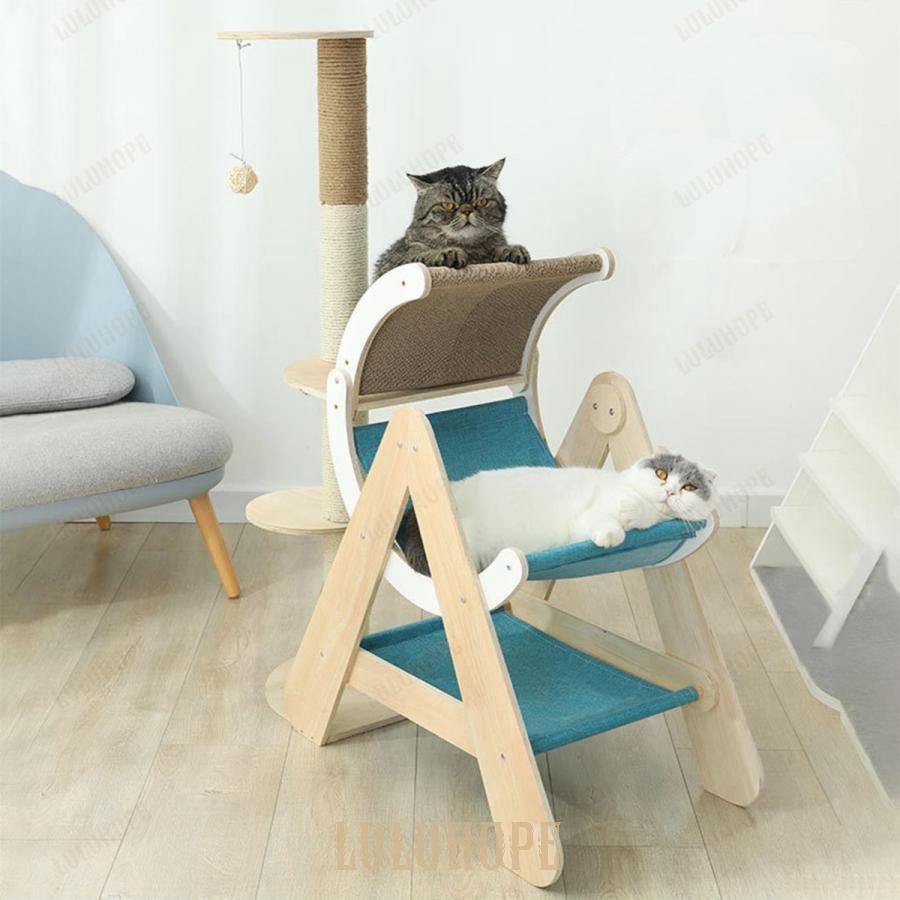大型猫 中型