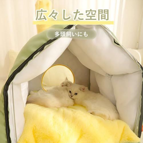 Lサイズ