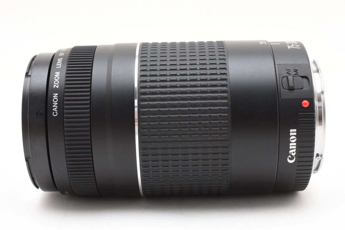 ☆極上品☆キヤノン CANON EF 75-300mm F4-5.6 割引 III ☆ T5＃4019