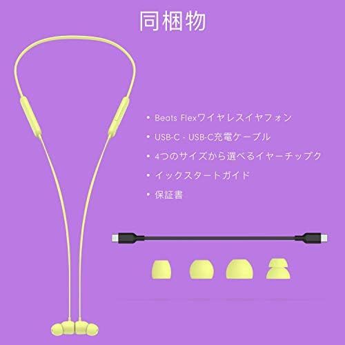 Flexワイヤレスイヤホン ?