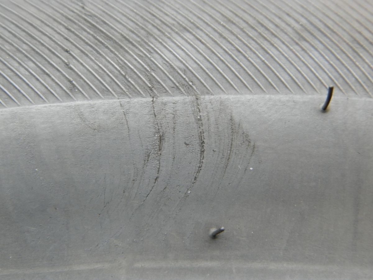 225|45R18 ブリヂストン NEXTRY ラジアルタイヤ 4本SET 2025年製 夏タイヤ TRITUETUBI_COM