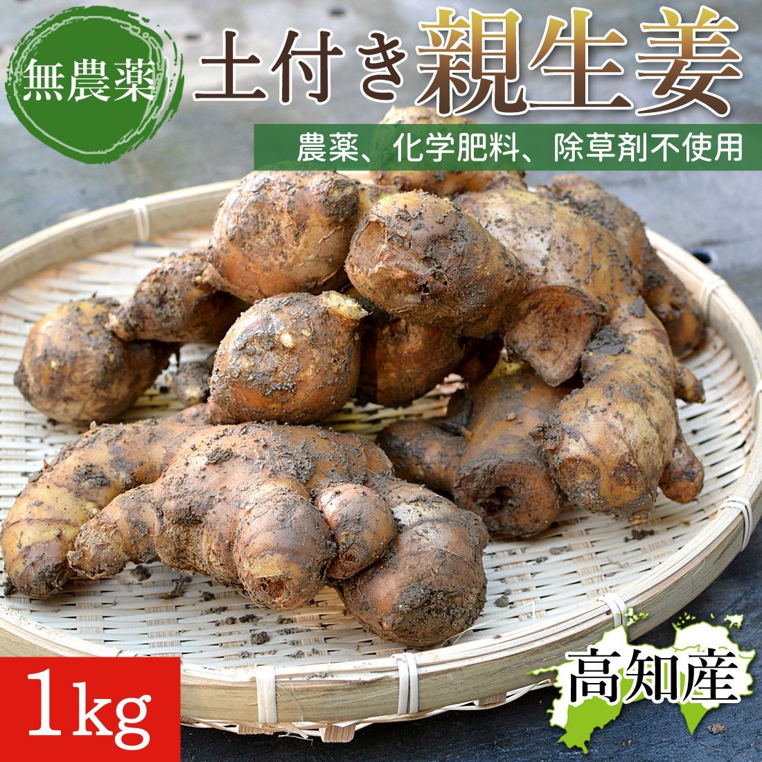 1kg】窪川産直 親生姜 農薬：栽培期間中不使用 生姜 1kg 大生姜