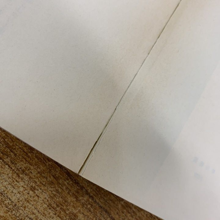 【中古】 シャーロック・ホームズの災難 上/早川書房/エラリ・クイーン ○01)【同梱不可】シャーロック・ホームズの災難 上下巻 2冊