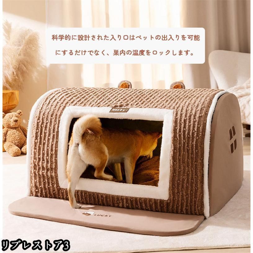 ドーム型