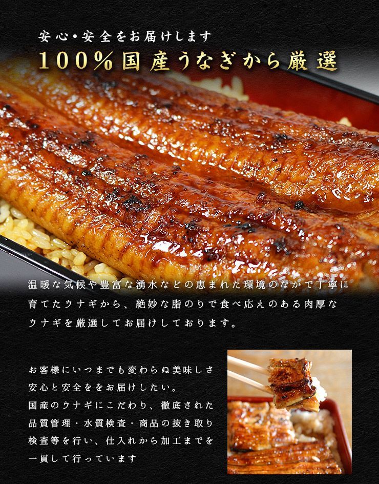 国産うなぎ福袋 蒲焼き 肝串 きざみうなぎ タレ・山椒つき 《not-du1》〈ue1〉yd9[[国産うなぎ福袋]