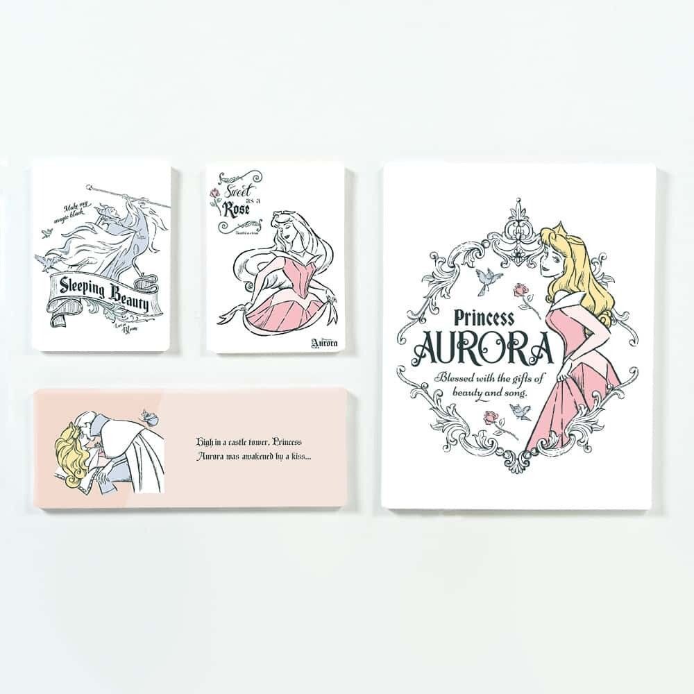 10|19受注分で販売終了 送料込 アートパネル 4点 セット ディズニー ディズニープリンセス プリンセス 眠れる森の美女 オーロラ アニメ 映画 pa0107
