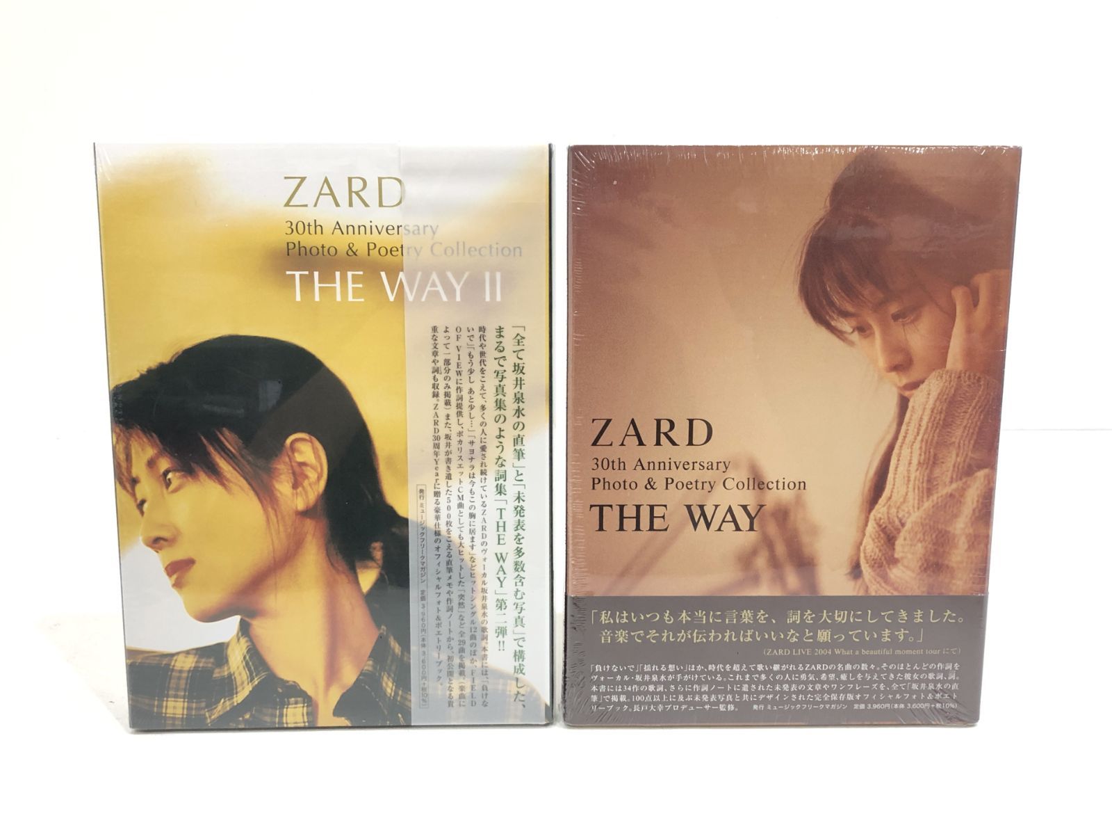 盛岡4-0247】RaMuデビュー10周年記念 RaMuずっきゅん 写真集 DVD付