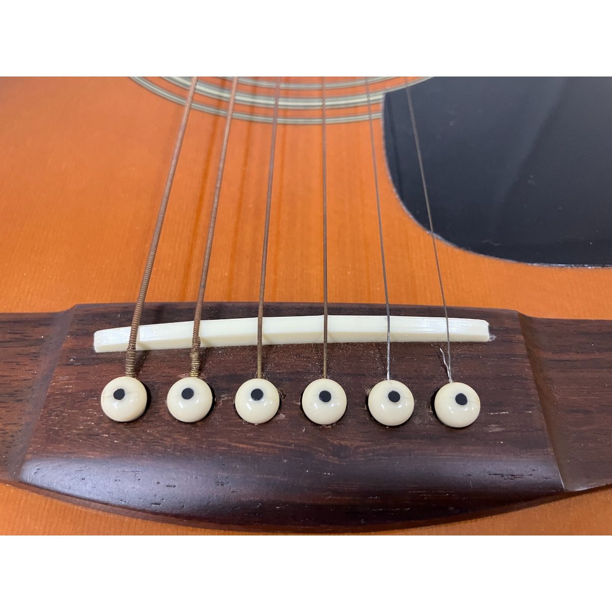 弦楽器 タカミネ