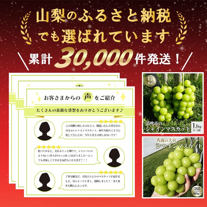 シャインマスカット 種なし 大粒 6房 (3.6kg以上) 山梨県産