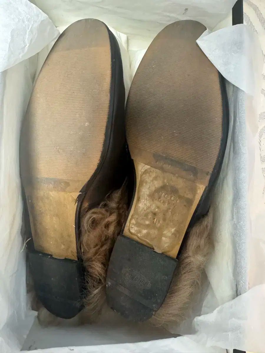 GUCCI グッチ タイガー ミュール 10 サイズ