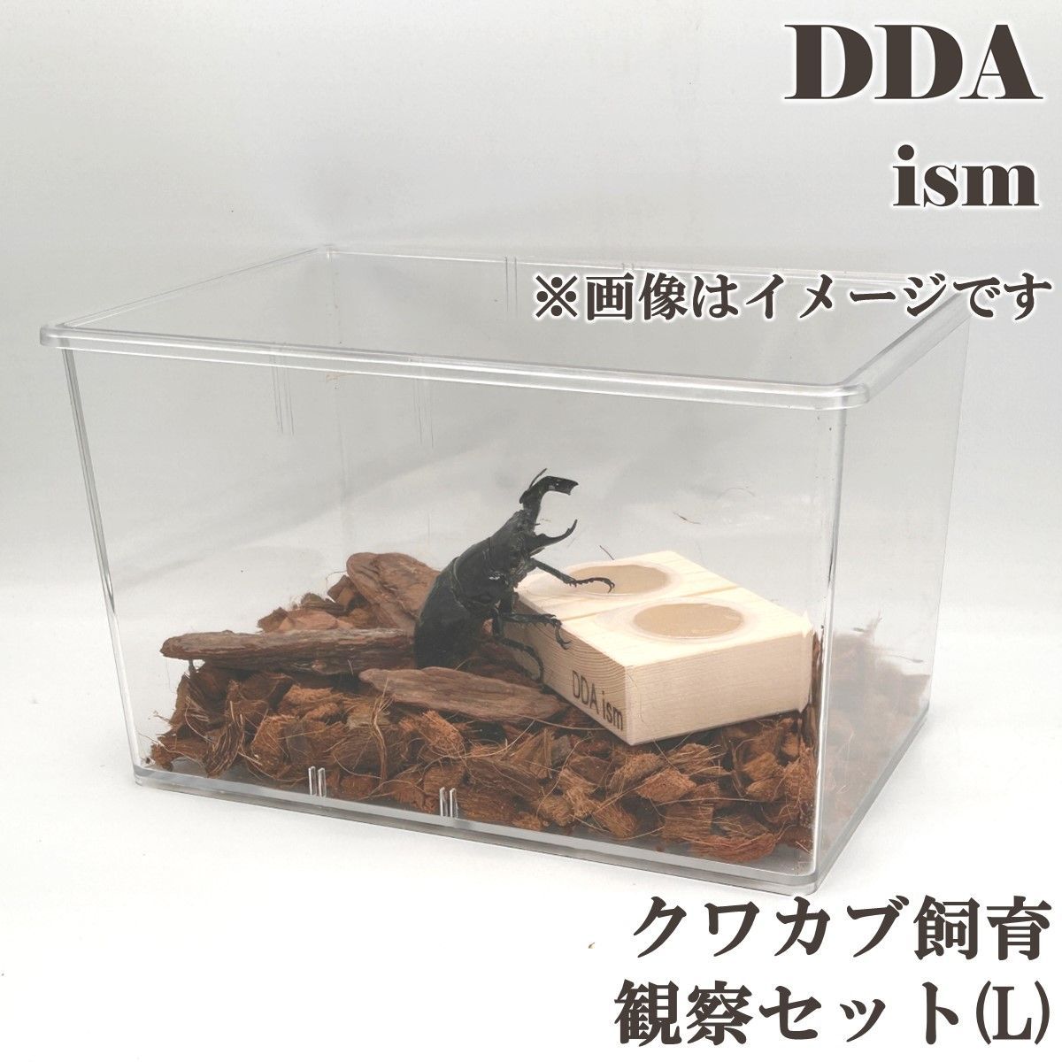 飼育・観察・オールインワン！【DDA】クワカブ飼育・観察セット (L