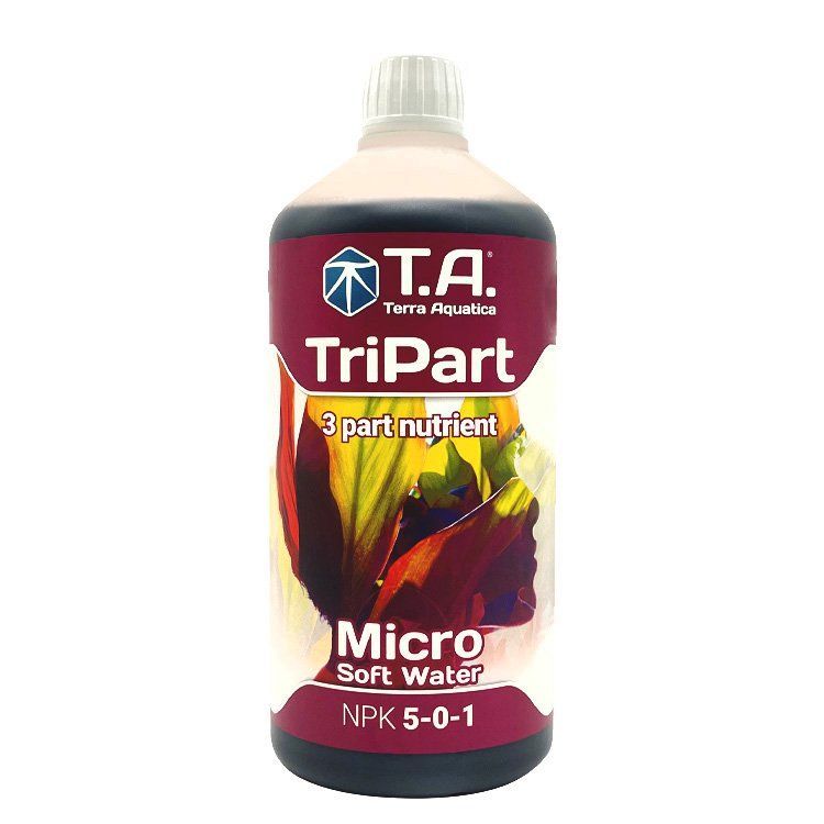 1L