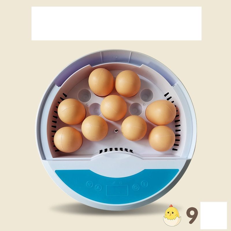 鶏卵アヒルうずら子供教育用自動温度制御