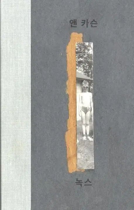 大得価，品質保証 アン カーソン ノックス 詩集 文学・小説