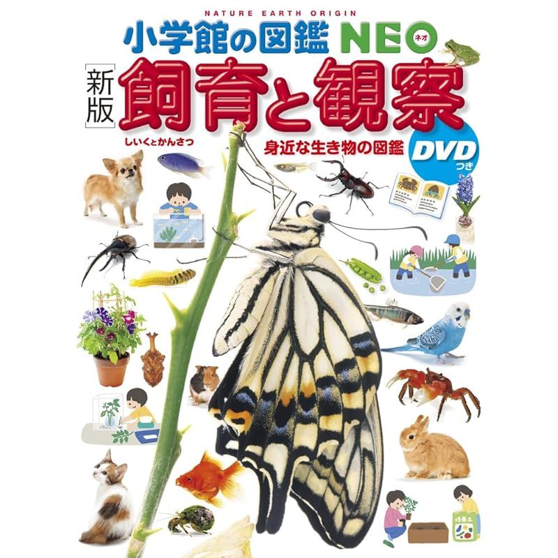 小学館の図鑑NEO15種セット未使用 新版］飼育と観察 DVDつき (小学館の図鑑NEO 15) - メルカリ
