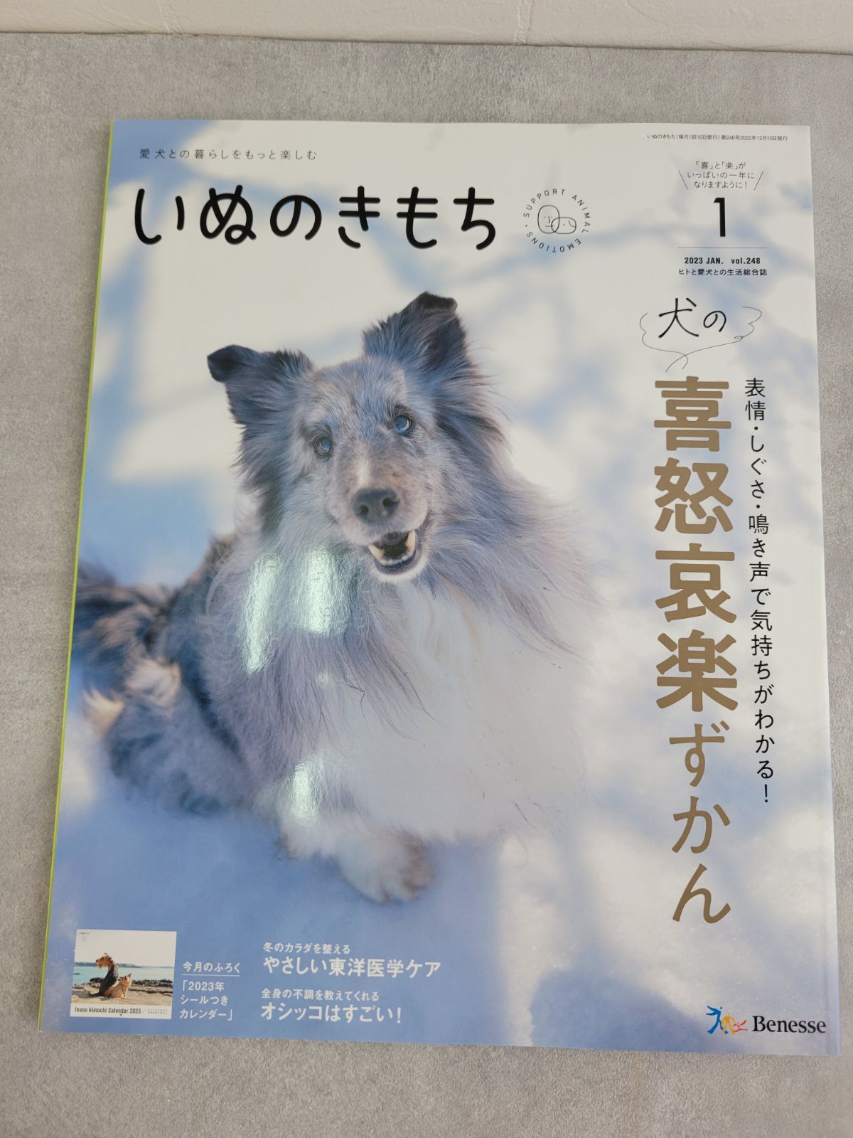 いぬのきもち 2004年 第1号から第3号までの3冊 正規逆輸入品 - 趣味