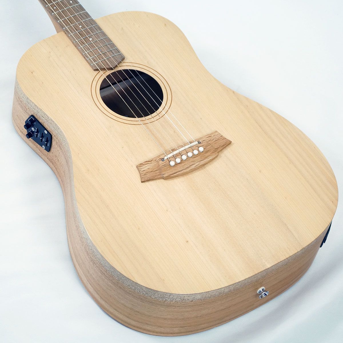 FL1E-BM