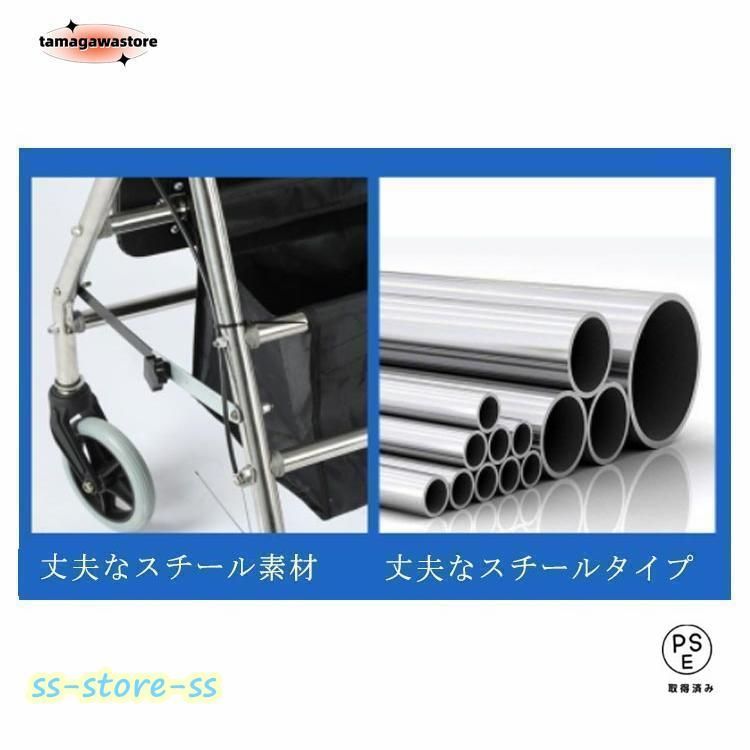散歩 シニア