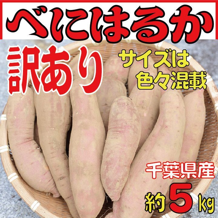 さつまいも べにはるか 5kg【訳あり品・熟成・土付き】