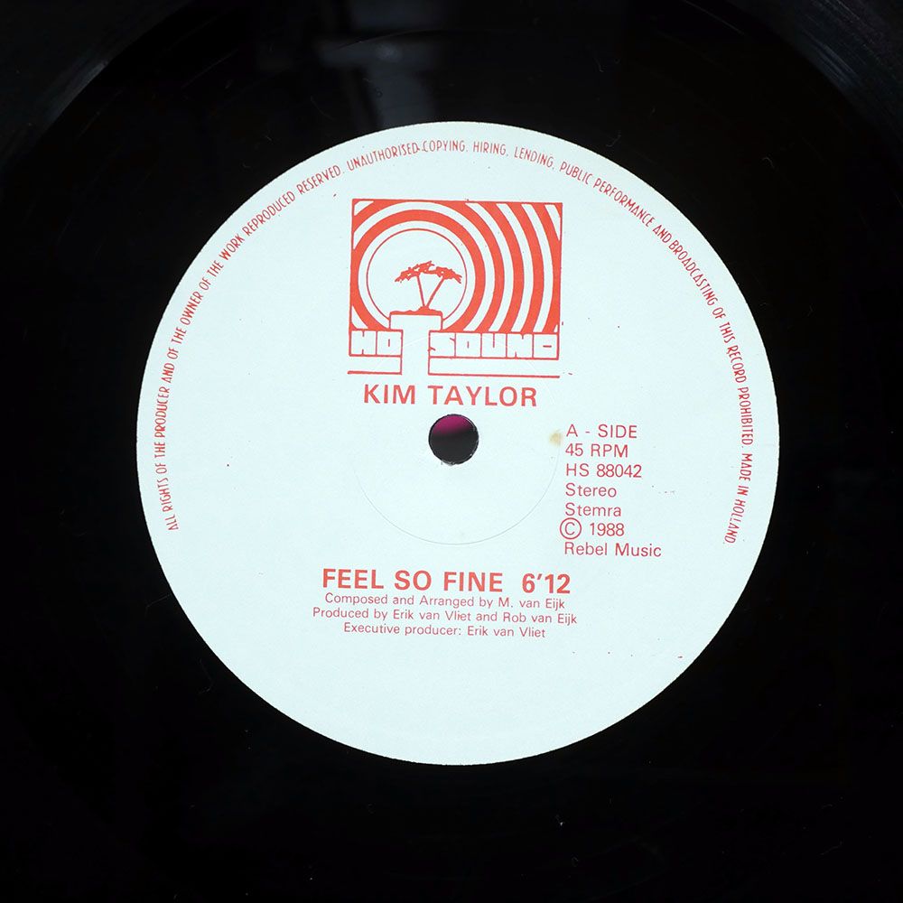 Phoenix Too Young 12インチレコード オリジナル盤 NIGO KUNG' FU FIGHTIN' 少林 12inch盤 アナログ盤 - メルカリ