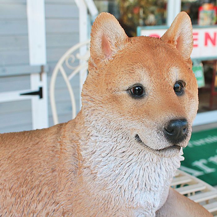 柴犬置物/陶器製/柴犬/オブジェ/オーナメント/犬の置物/高さ約67cm 柴犬置物/陶器製/柴犬/オブジェ/オーナメント/犬の置物/高さ約