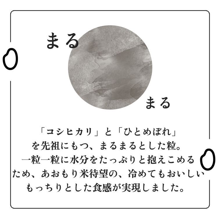 青森県産 白米5kg×2袋