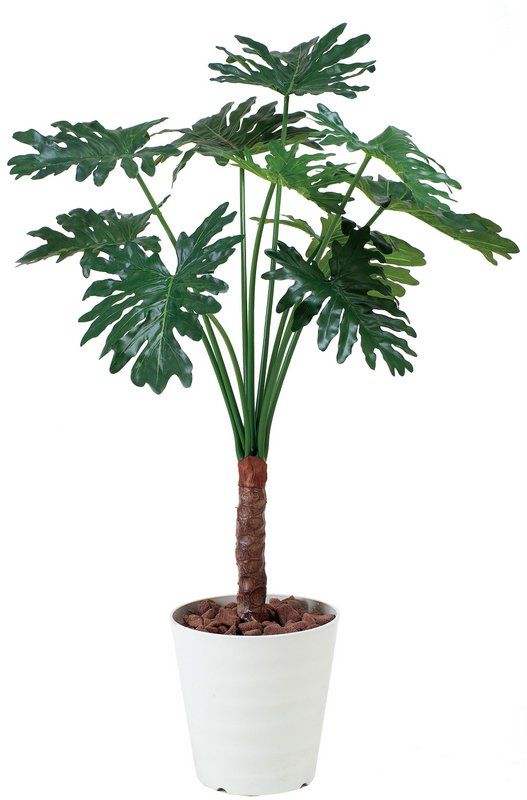 光触媒観葉植物 セロームフィロ1.3〔フロアタイプ(ハイサイズ)〕/光触媒 観葉植物 ウンベラータ フェイクグリーン 花 胡蝶蘭 開店祝い 開業祝い 誕生祝い 造花 アートフレーム おしゃれ 飾る