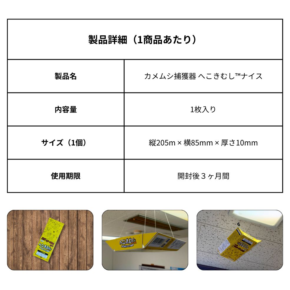 10個 カメムシ捕獲器