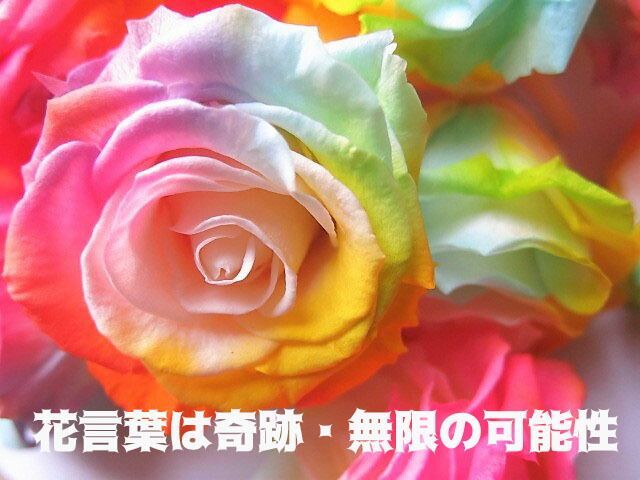  送別会 退職祝い 花 ディズニー フラワーギフト 箱開けてスマイル ボックス入り レインボーローズ プリザーブドフラワー ノーマル ミッキーマウス ミニーマウス プリザーブドフラワーアレンジメント フラワーアレンジメント