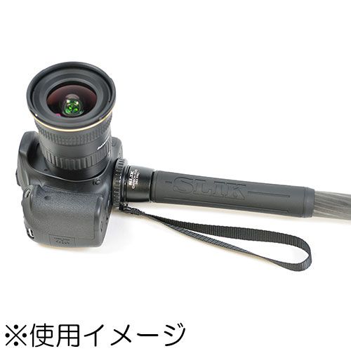 カーボンポッド 383