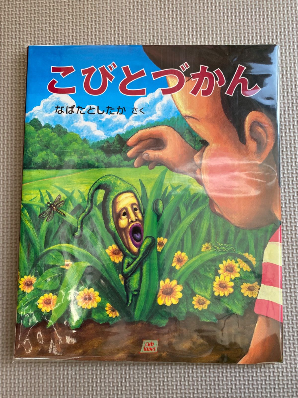 今だけ値下げ中レア！！！こびとづかん DVDセット こびと図鑑 DVDこびと観察入門 傑作選 マモリ カブト ユキオト モモゾノ