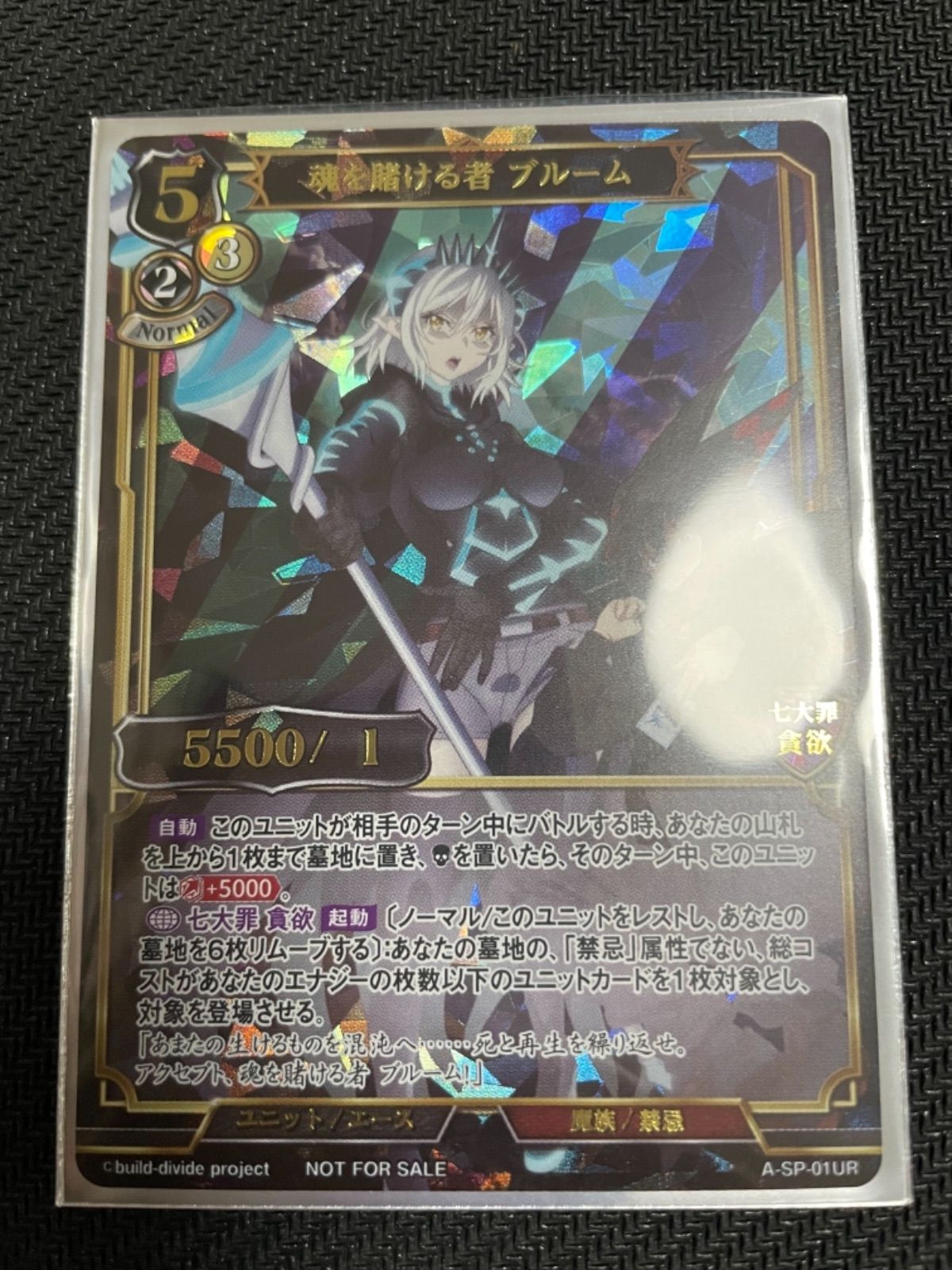 ビルディバイド 魂を賭ける者 ブルーム DVDプロモ 2枚