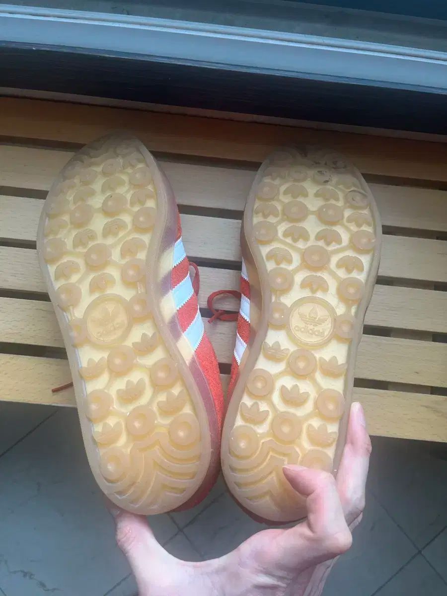 ガゼル