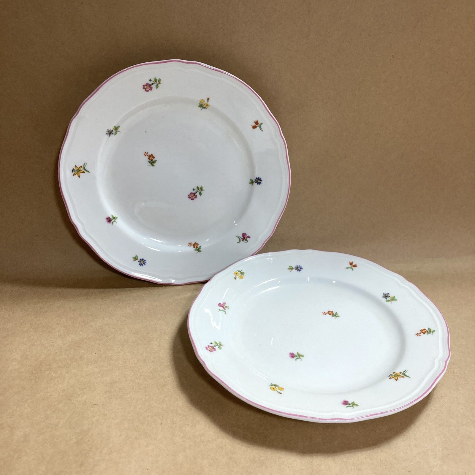 ジノリ アンティコエデン 17プレート×5 ☆お値下げ！ Richard Ginori